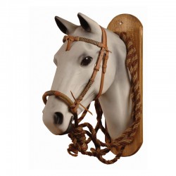 Pool's Bosal Set Rawhide